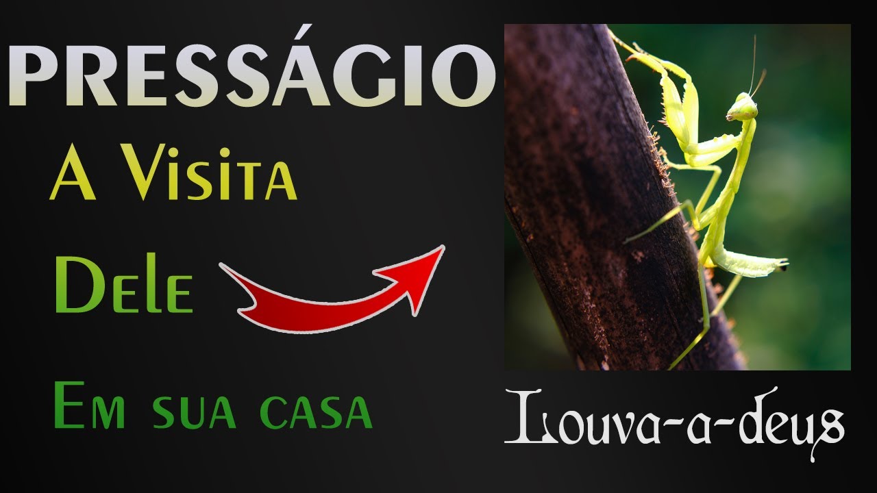 🏡 Louva-a-Deus - A Mensagem do Universo para você!