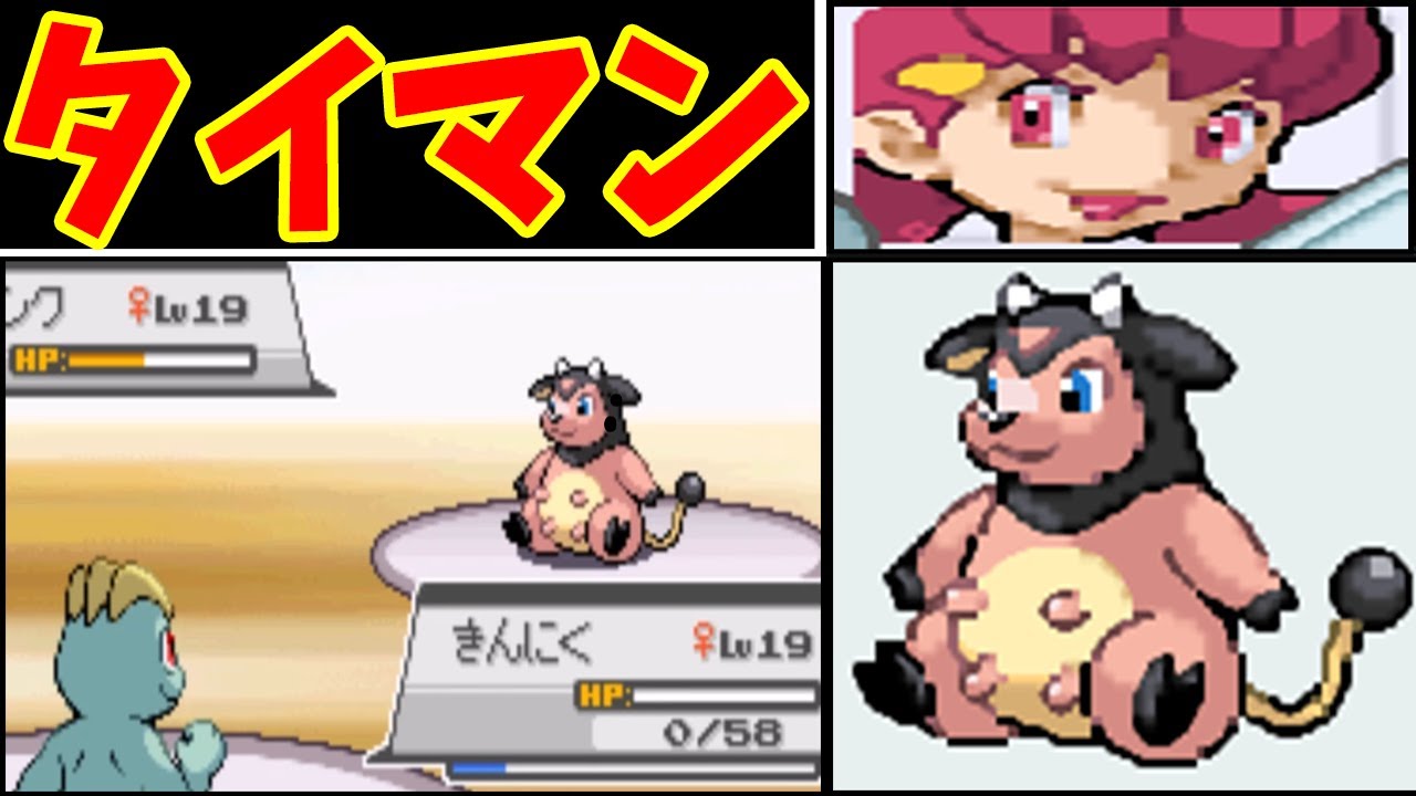【総勢２０匹】アカネのミルタンク！！同レベルのタイマンで勝てるの？【ゆっくり実況】【ポケモンHGSS】