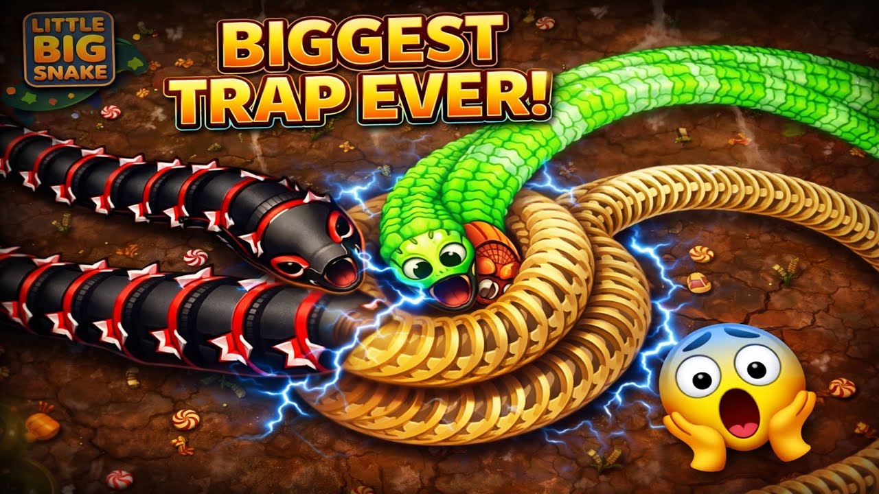 The Ultimate Snake Showdown: Who Will Survive?