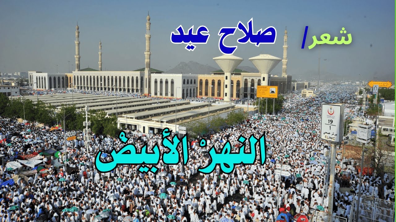 أفواج الحجيج