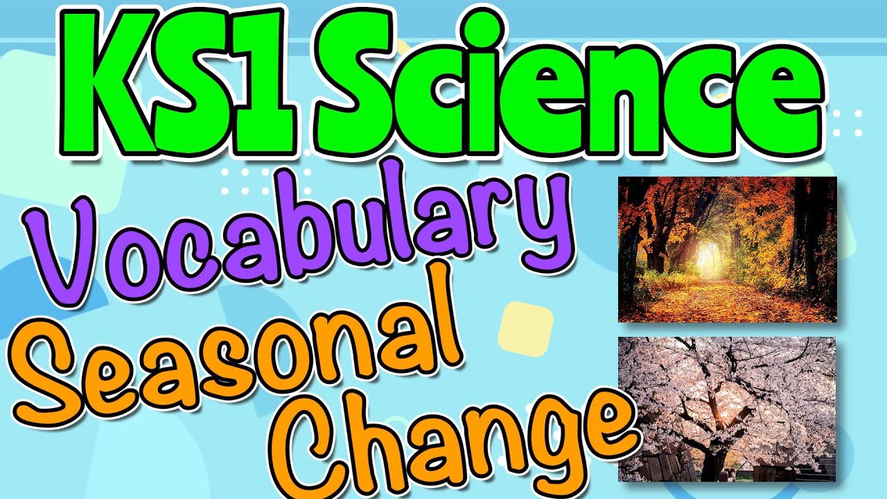 SEASONAL CHANGE KS1 SCIENCE VOCABULARY by Miss Ellis #seasonalchange #sciencevocabulary