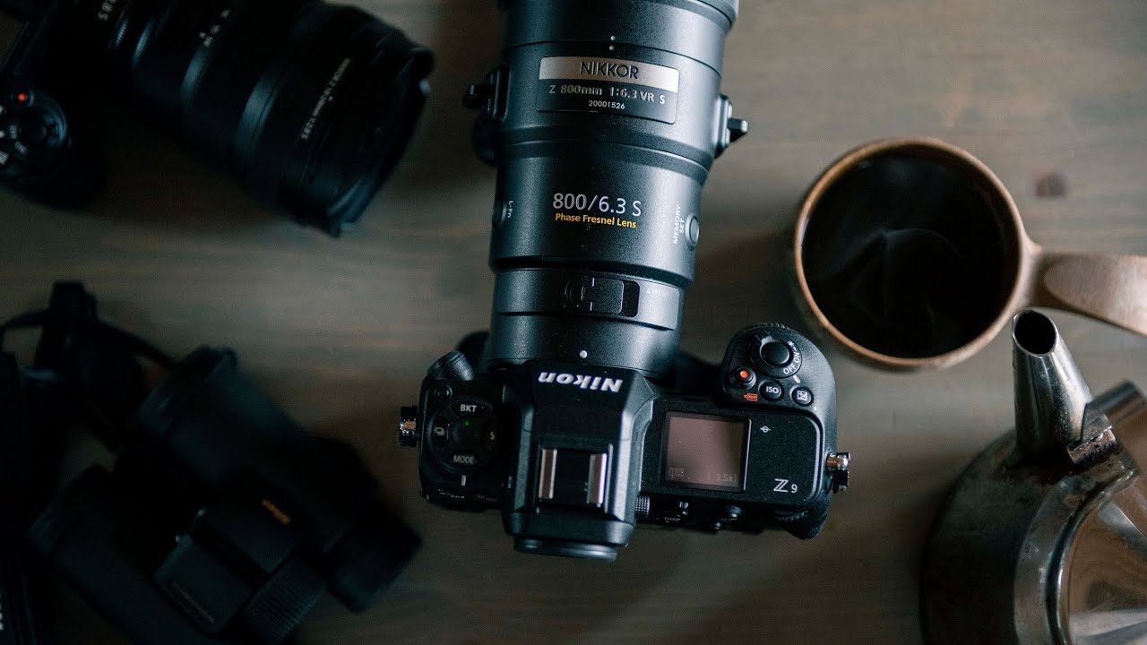 Nikon 800mm f6.3 PF | Размышления из кабины | новый ультрателеобъектив для съёмки дикой природы