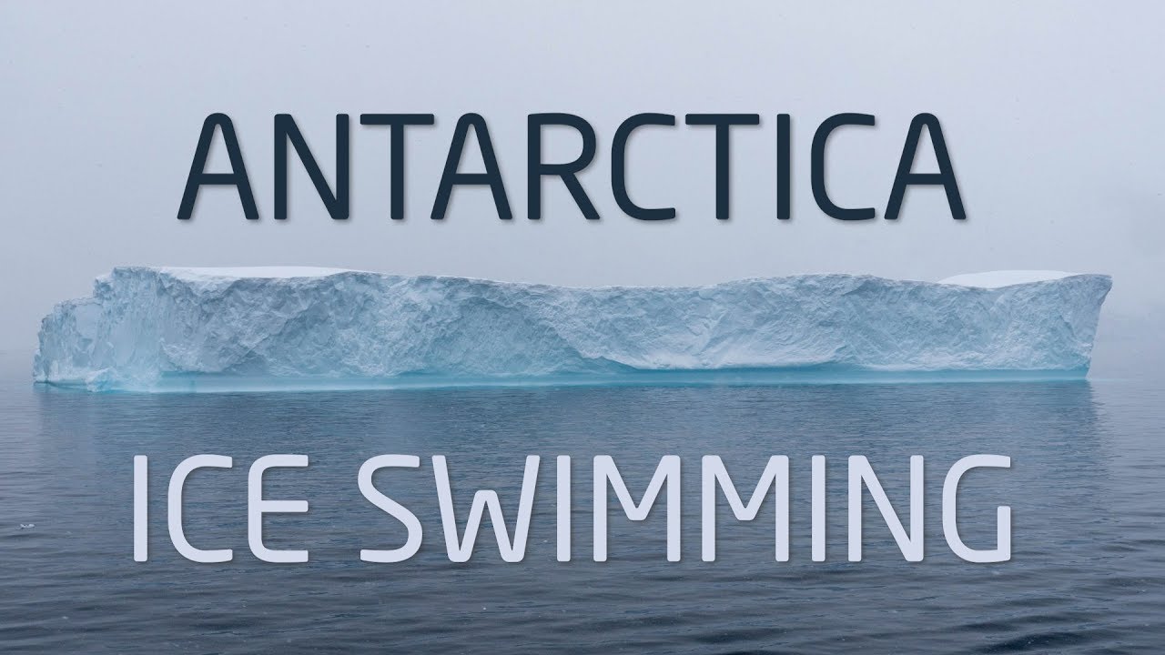 IISA Antarctica Highlights