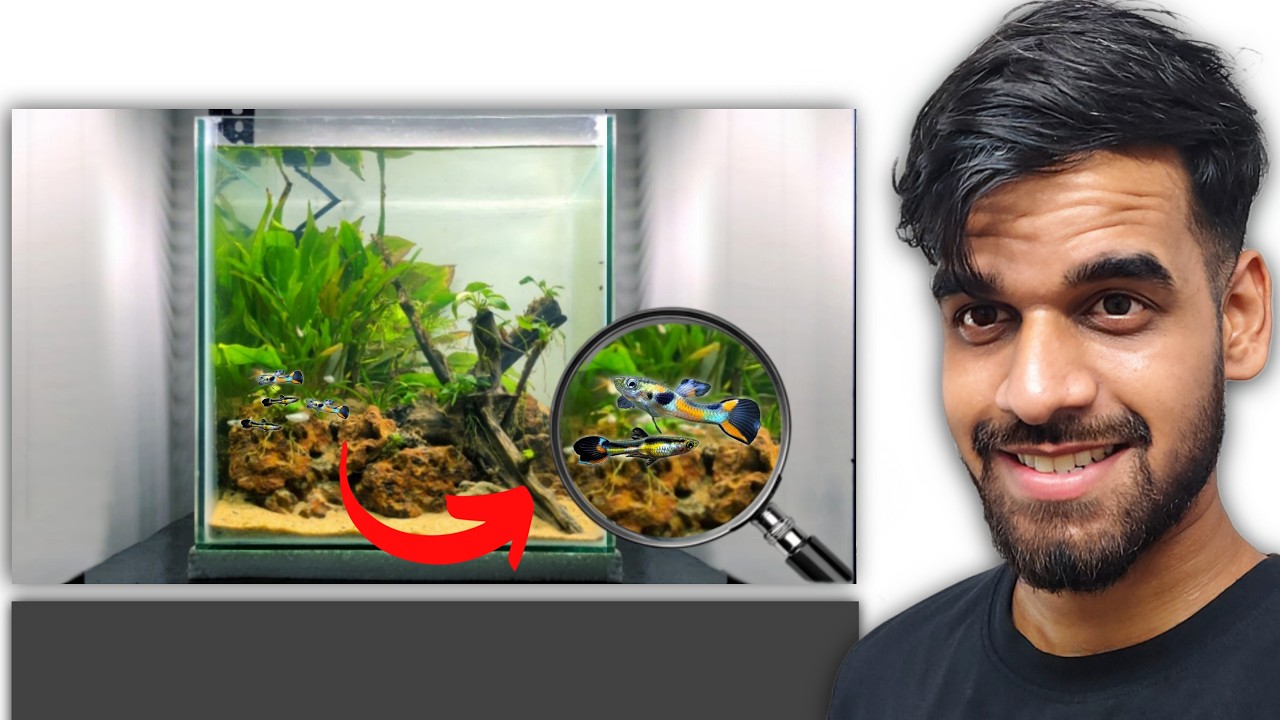 I made an Aquascape that look so HighTECH with Very Low Budget
