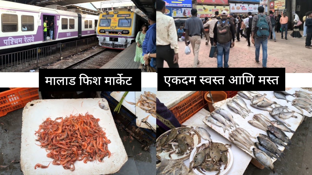 मालाड च मच्छी मार्केट | स्वस्त आणि फ्रेश | Fish Market Part 1 #seafood #fishmarket #mumbai