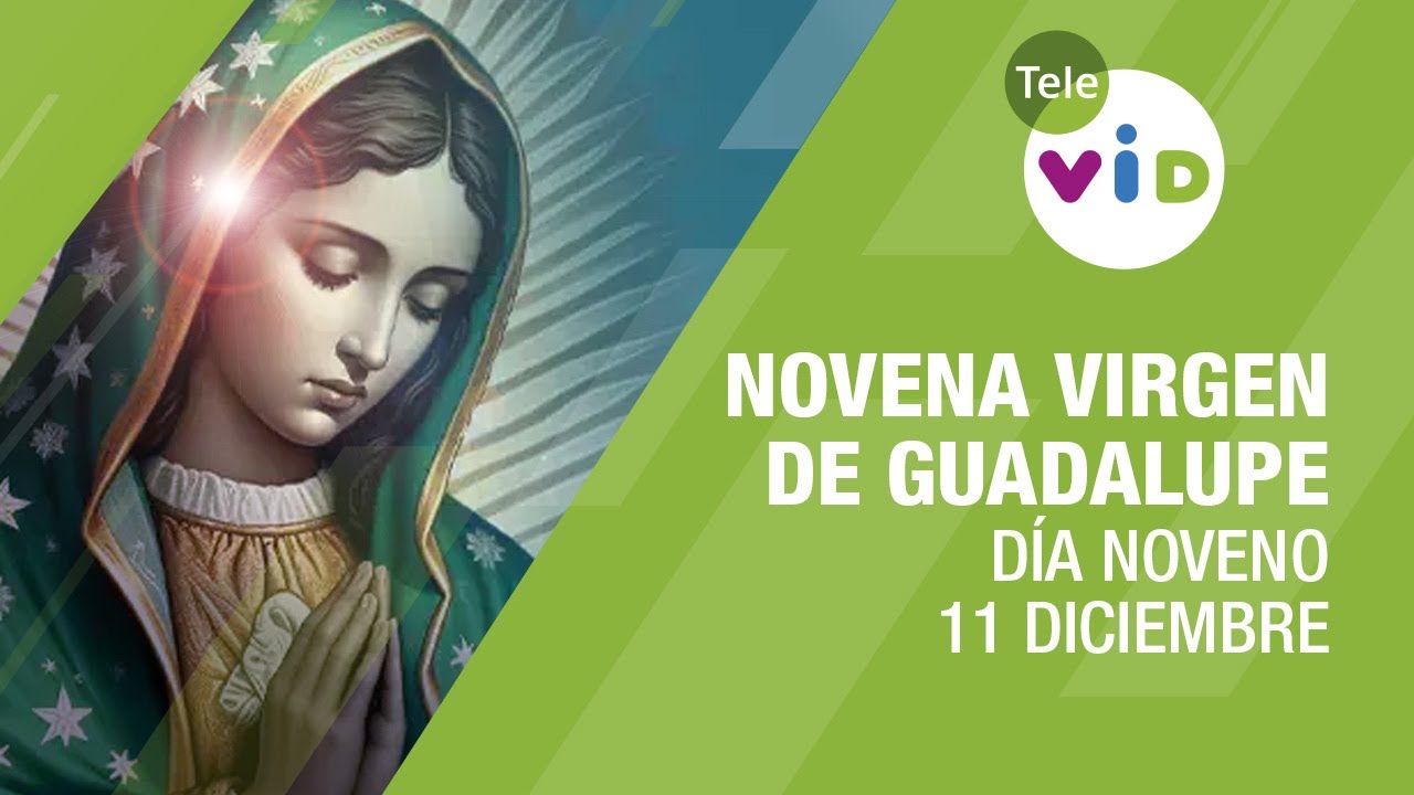 Novena a la Virgen de Guadalupe Día 9 📿🙏 11 Diciembre #TeleVID #VirgenDeGuadalupe