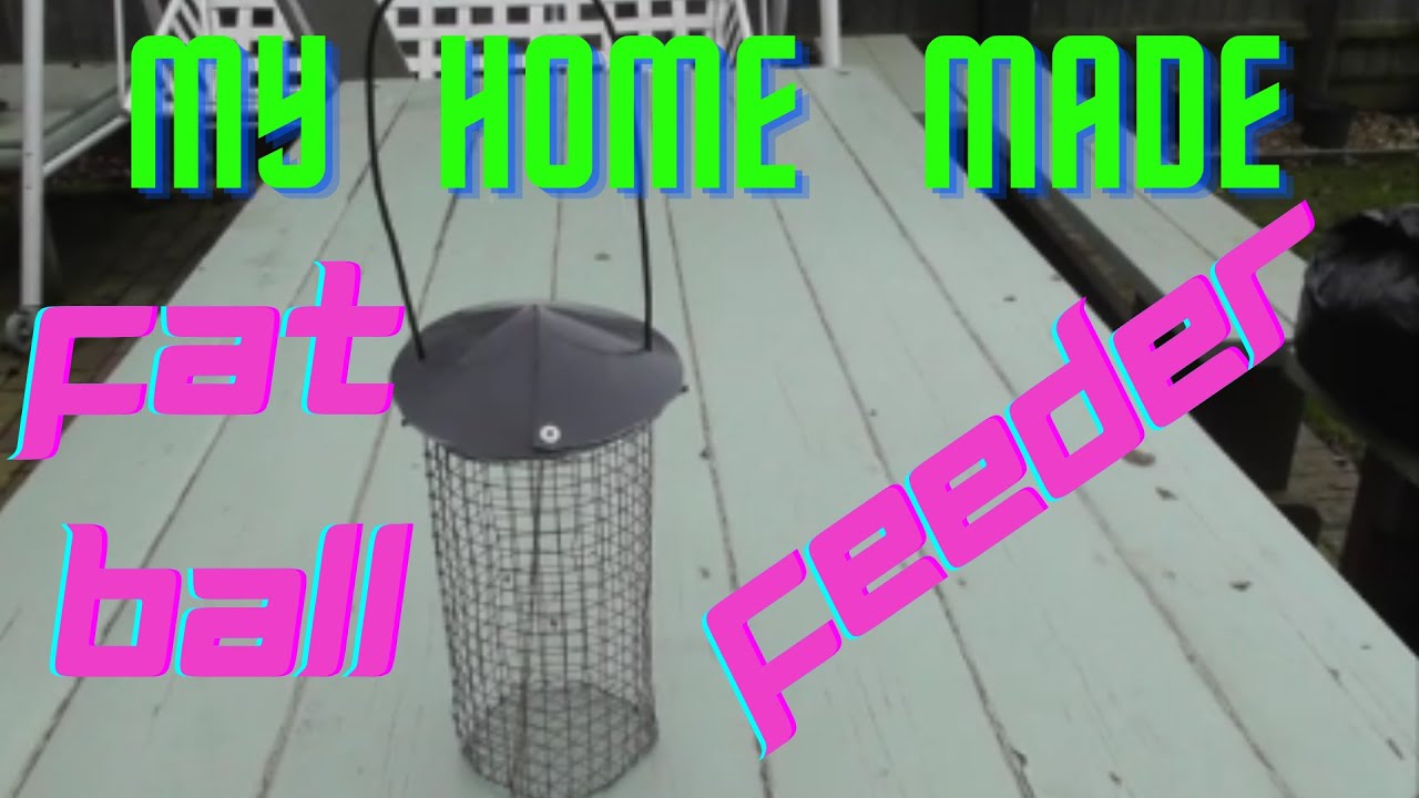 FAT BALL FEEDER