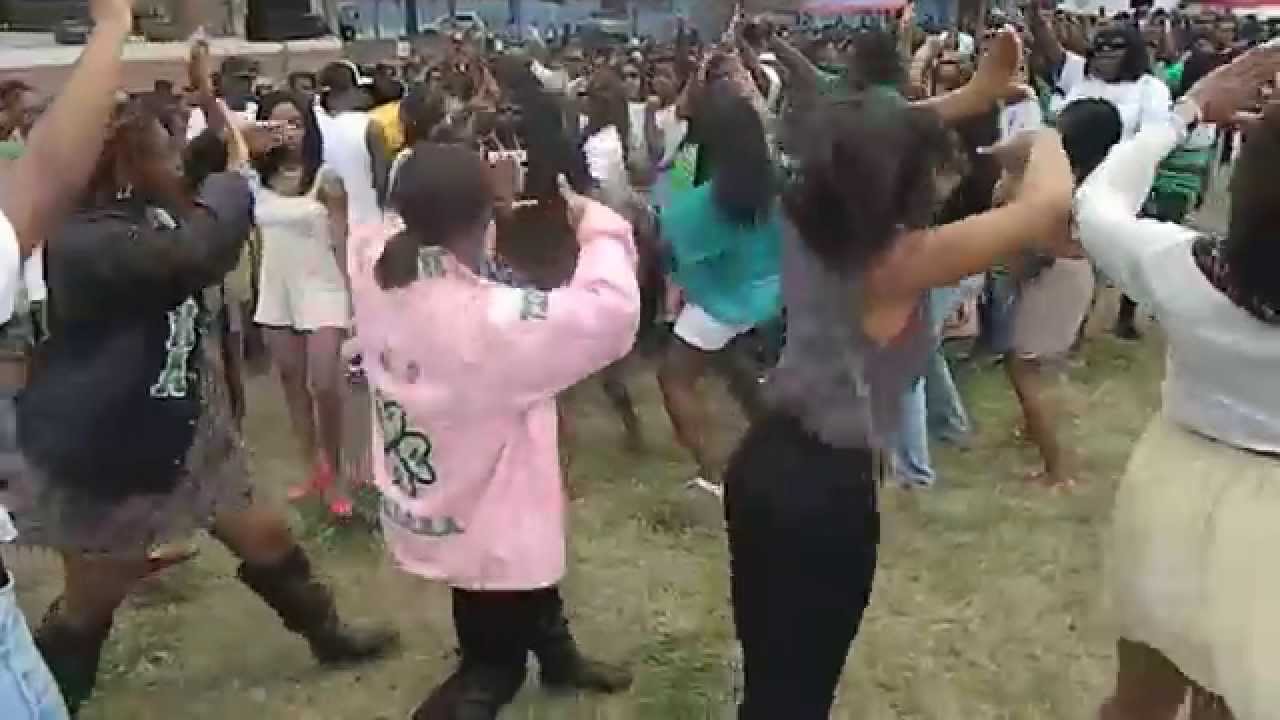 FAMU AKA's Knuck If You Buck @ UF FISS Fest Stroll Off