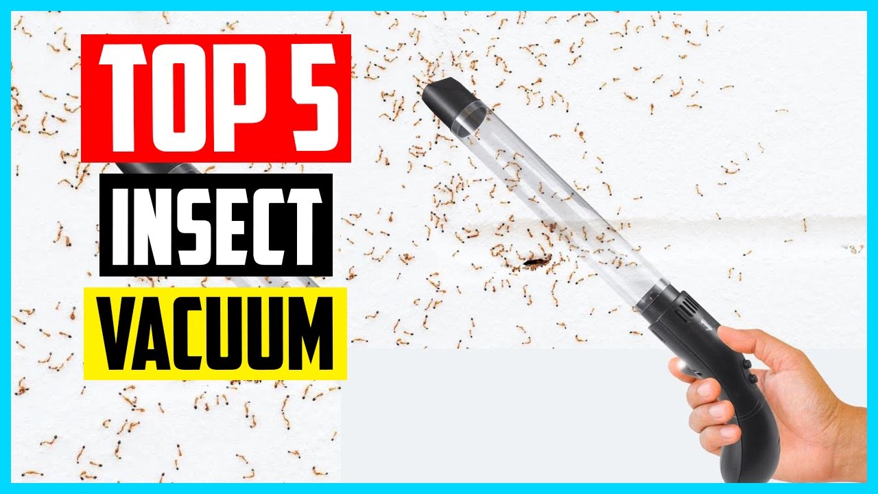 Top 5 Best Insect Vacuum of 2025 Review