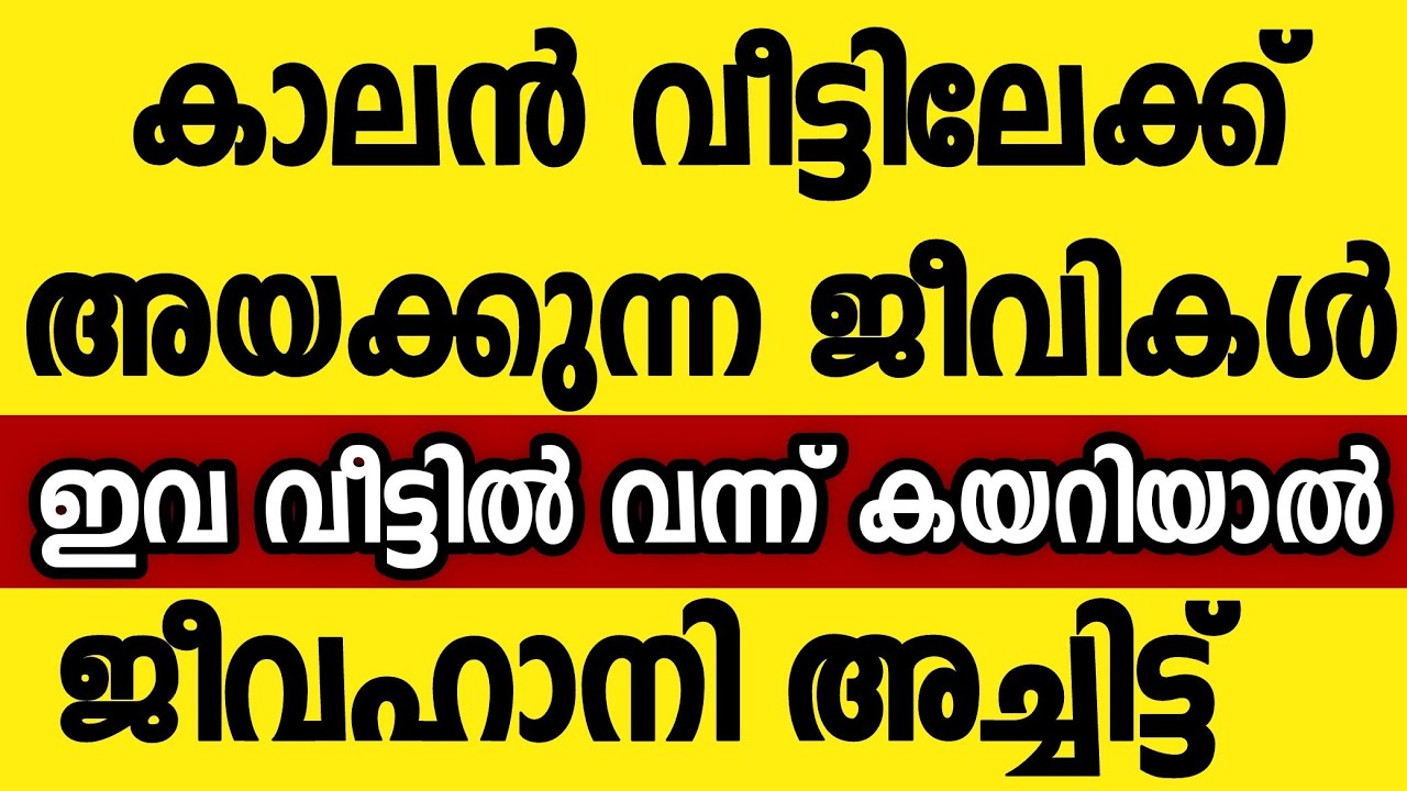 വീട്ടിൽ അനർത്ഥം വരുന്നതിന് മുൻപ് വന്ന് കയറുന്ന ജീവികൾ astrology malayalam