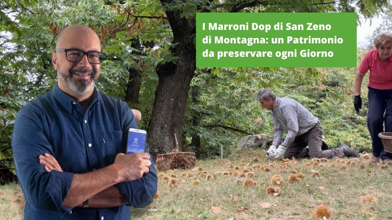 I Castagneti, un Patrimonio da tutelare