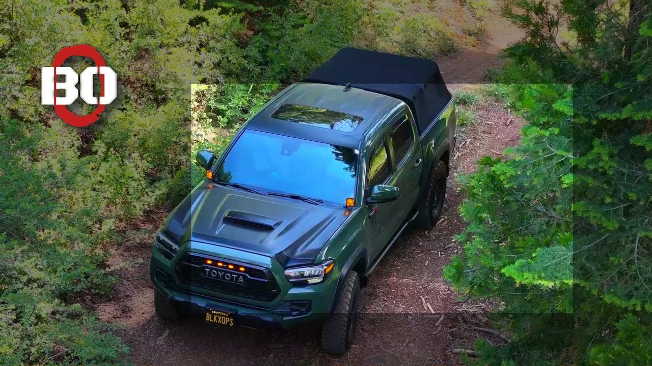 BURGERS, Forest, and Zero Plans 🍔🌲