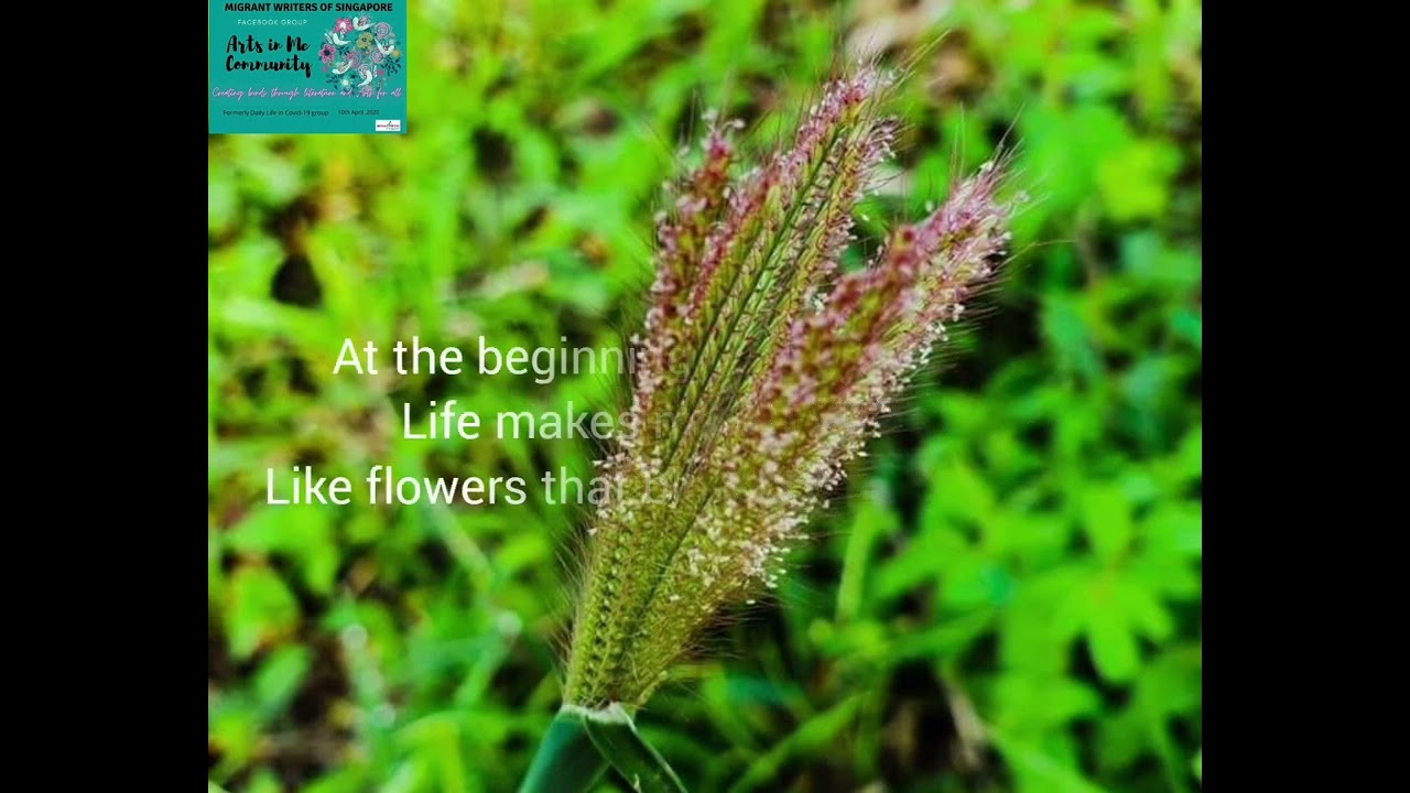 New Beginning in life: Another chapter and amazing peice of the year please watch