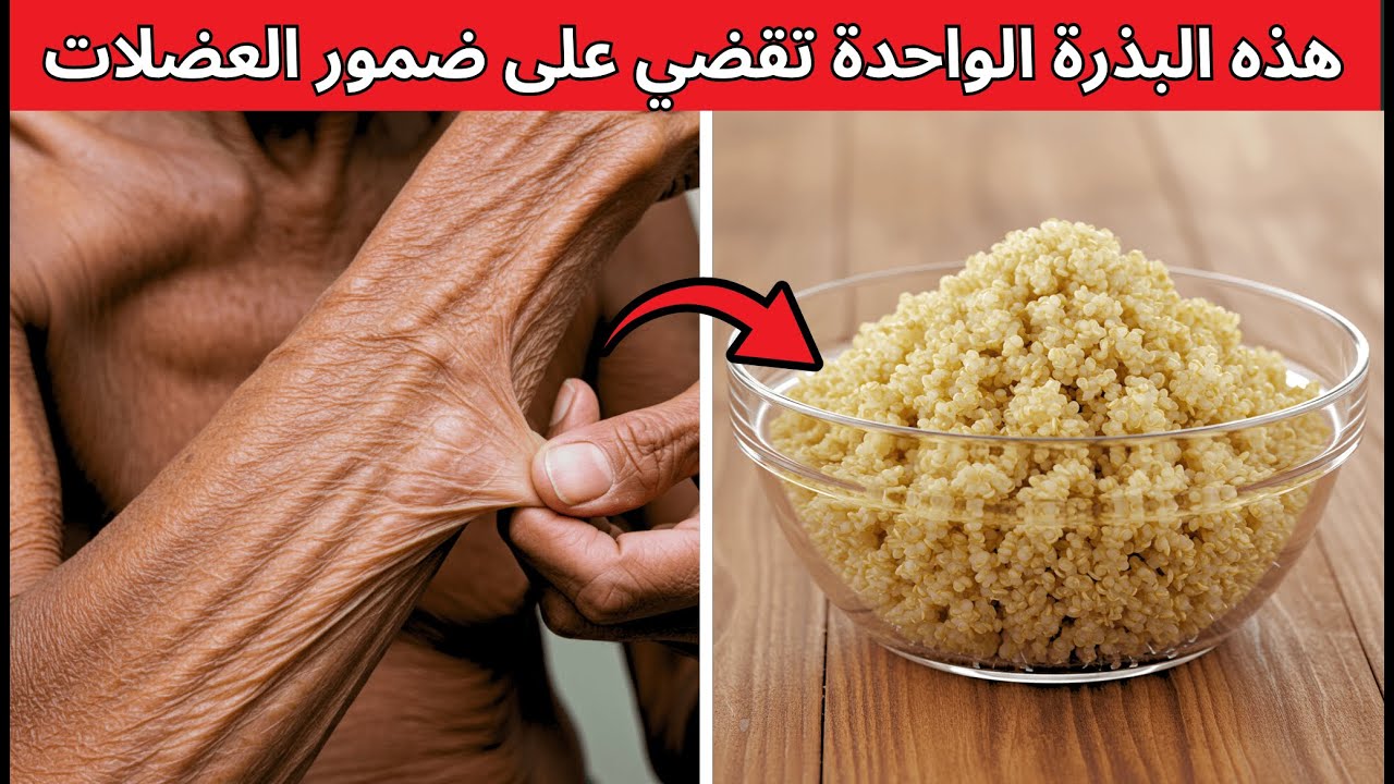 أفضل 5 بذور لتقوية الساقين لدى كبار السن - اقضِ على الساركوبينيا!