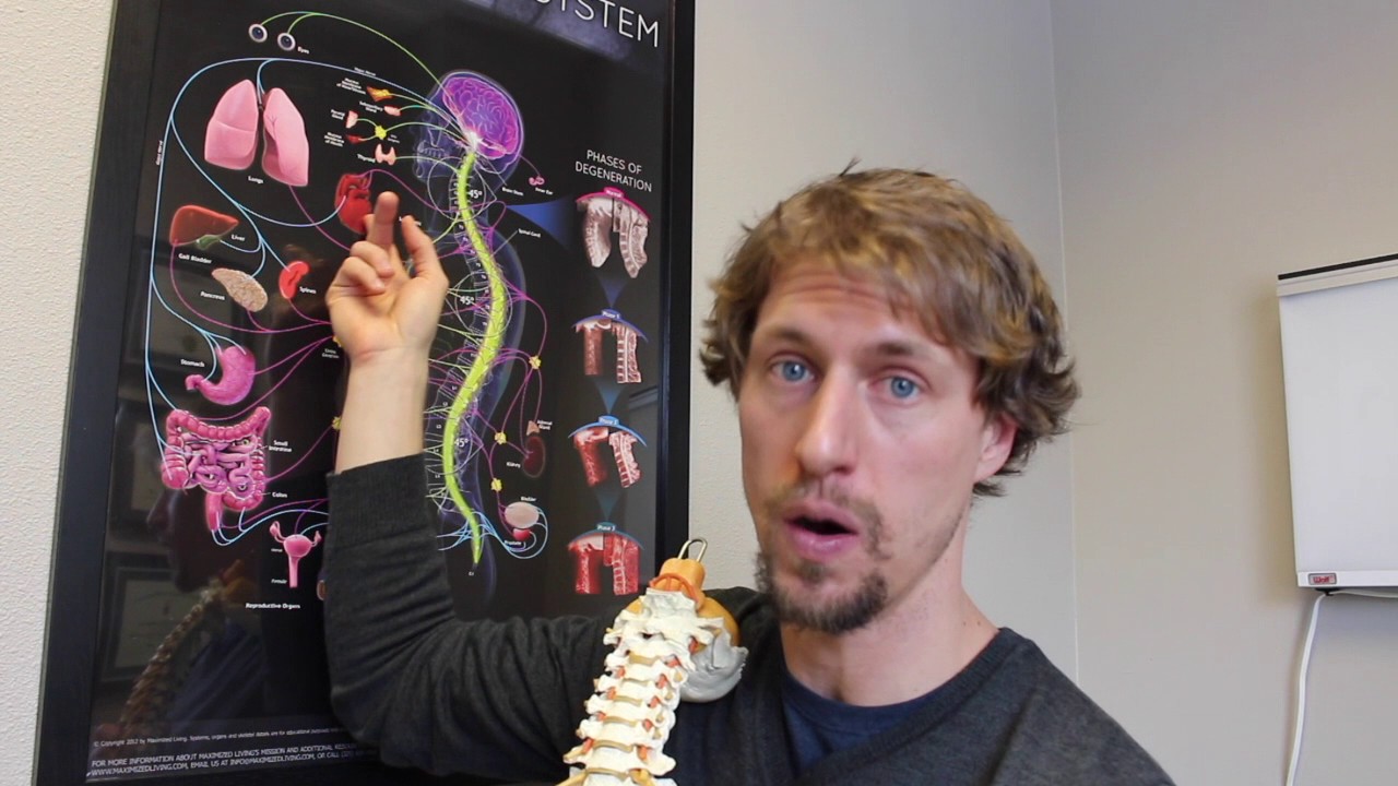 Heart Health and The Spine