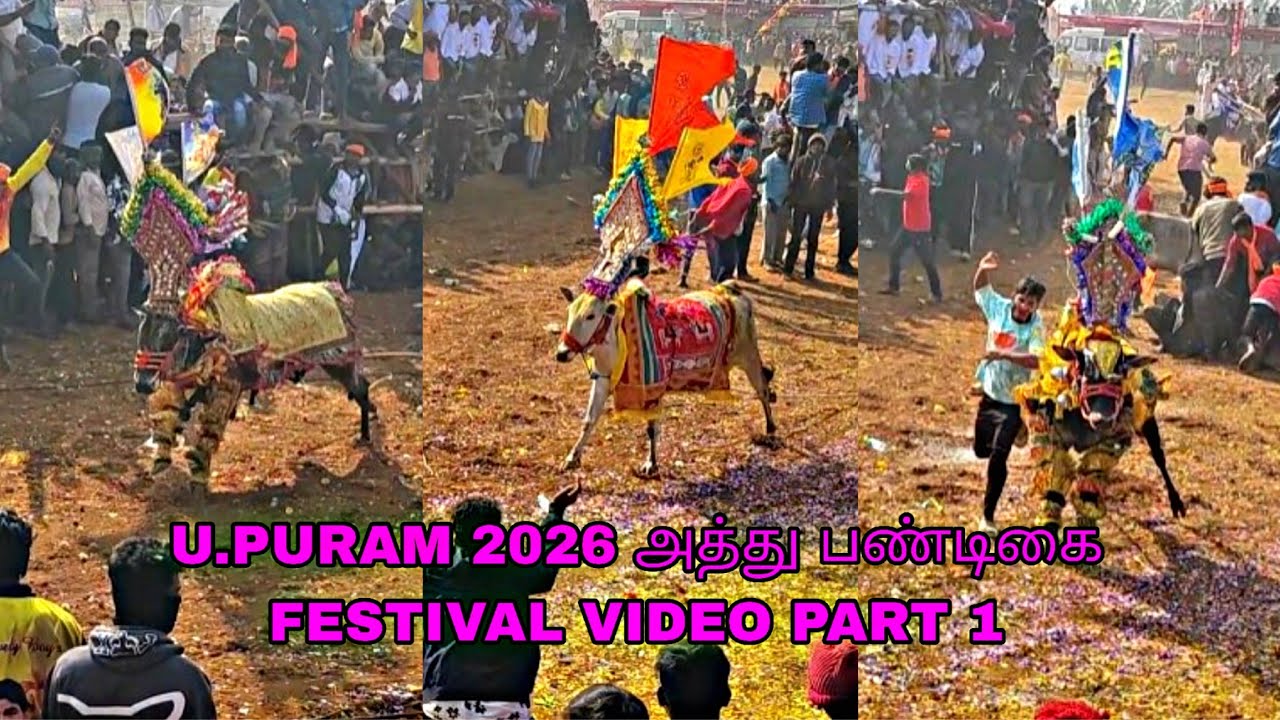 U.PURAM 2026 அத்து பண்டிகை FESTIVAL VIDEO PART 1 @bulletrani8271  