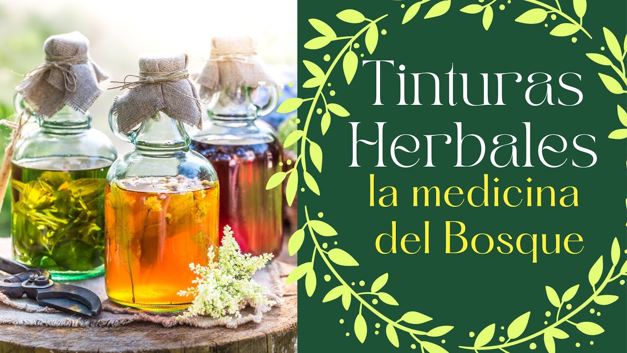 ✨Cómo hacer TINTURAS HERBALES🌿 La GUÍA DEFINITIVA✨Plantas MEDICINALES 🌱
