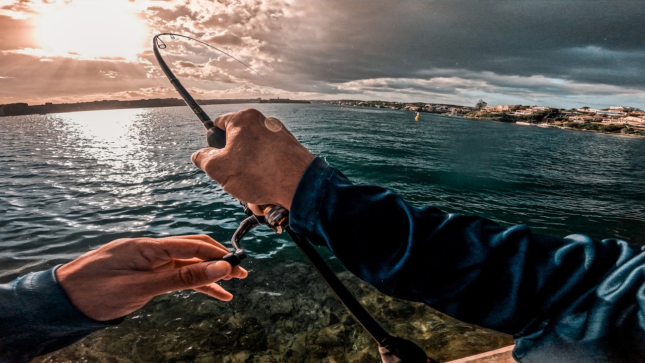 Di con la CLAVE para los Peces PEL&Aacute;GICOS que hab&iacute;a [𝙇𝙖 𝙍𝙚𝙖𝙡𝙞𝙙𝙖𝙙 𝙙𝙚 𝙡𝙖 𝙋𝙚𝙨𝙘𝙖] | Lured Vlog 329