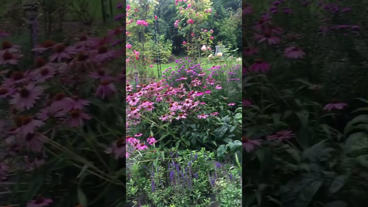 Staudenpflanzung im Wandel der Jahreszeiten 🌸🍀💚🍂