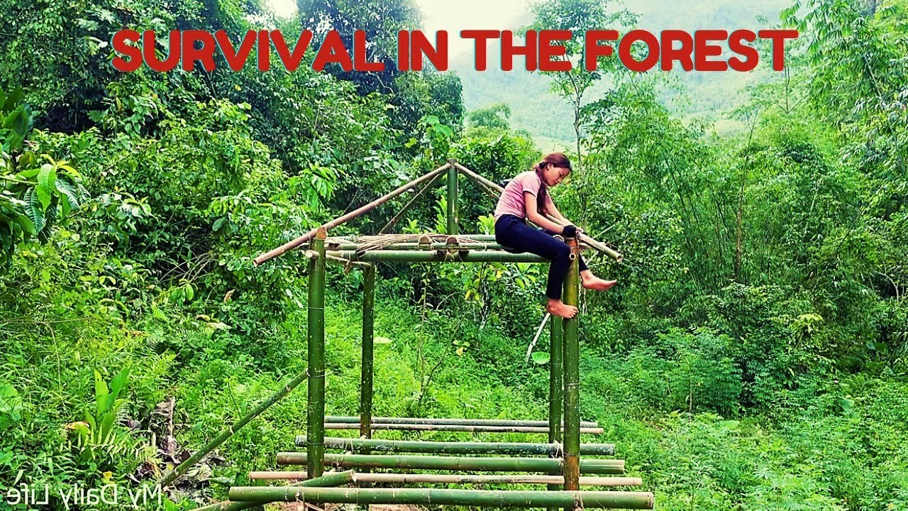 Making bamboo house for survival in forest [  美丽生活   ] my forest life adventure MEILI VLOGS EPIS 001