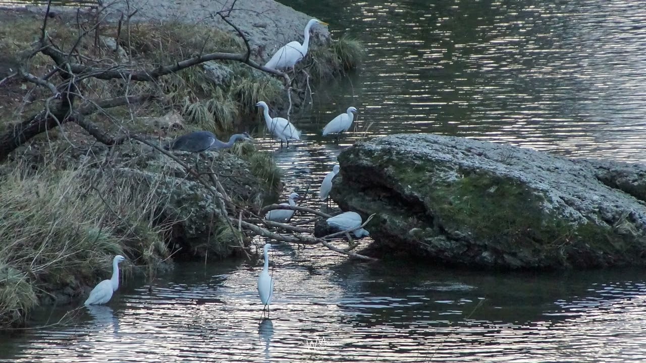 Lungo il fiume Adda