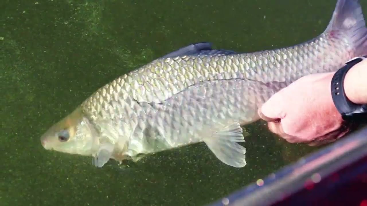 Loskop Dam: Scaling down for some fishing from the boat