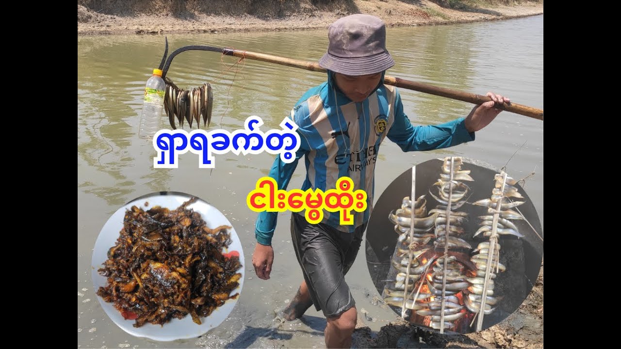 ရှာရခက်တဲ့  ငါးမွေထိုး