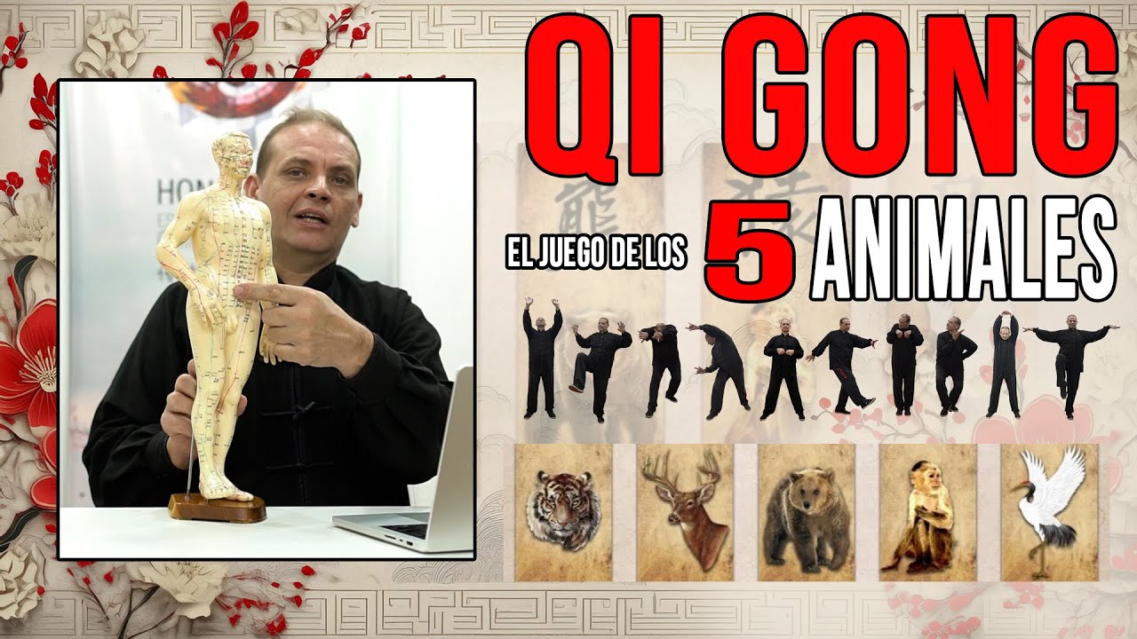 Qi gong - LOS 5 ANIMALES - conocé en profundidad esta fabulosa forma de Chi Kung.