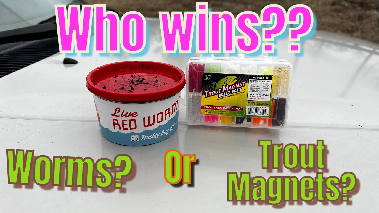 Red Worms vs Trout Magnet CHALLENGE #bankfishing #fishing