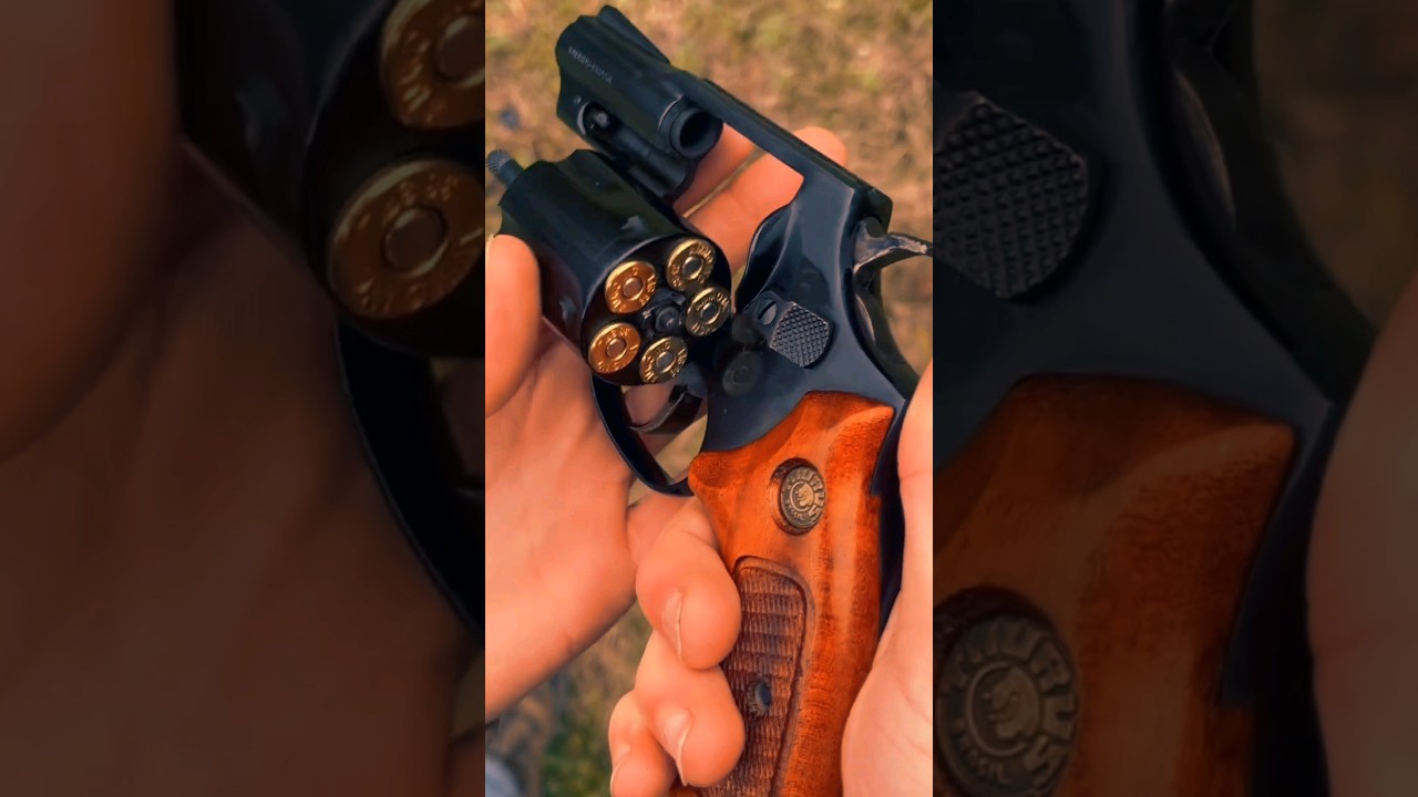 Taurus Model 85 .38 Special #acehgunfishing