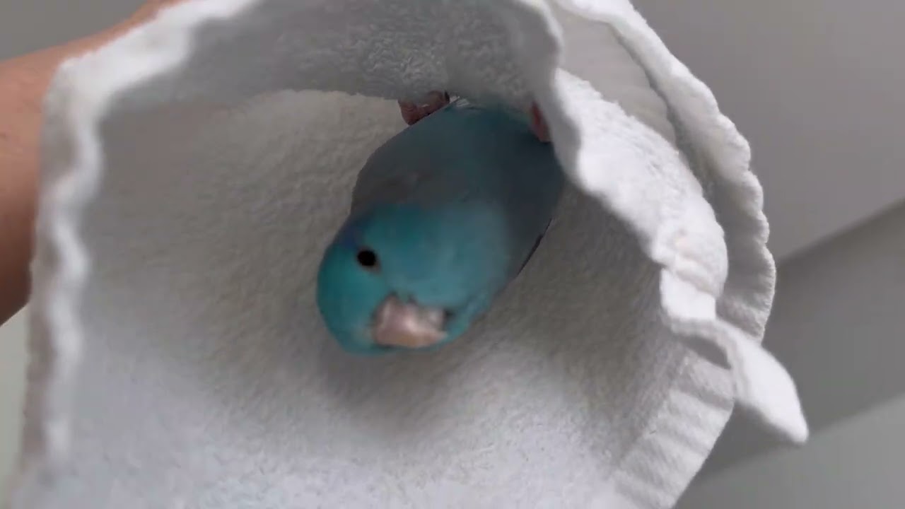 260215 Winter Sunshine 