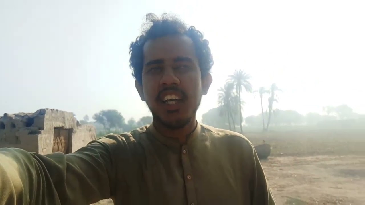 گندم کی شاندار فصل دیکھ کر دل خوش ہو گیا #viral#vlog #villagelife#subscribe   