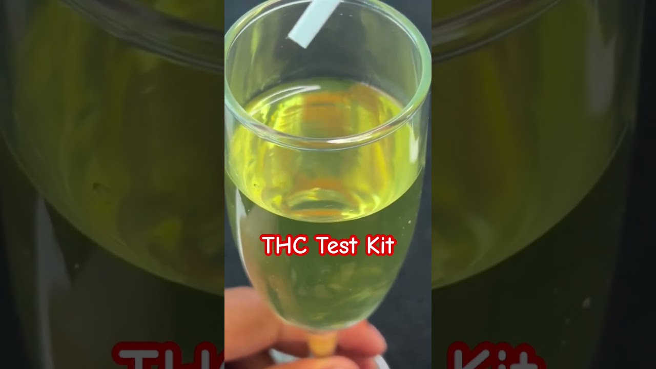 THC Test Kit #TestKit #THC #ASMR #Sample #Clean #drugfree#420#Kush