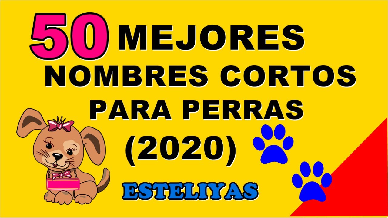 50 MEJORES NOMBRES CORTOS PARA PERRAS (2020) TE VAN A ENCANTAR!