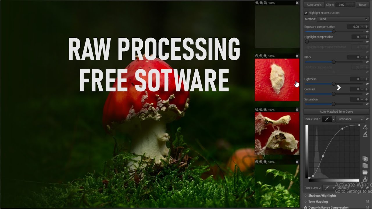 RAW PROCESSING (DSLR camera file) PRO free software for small studio