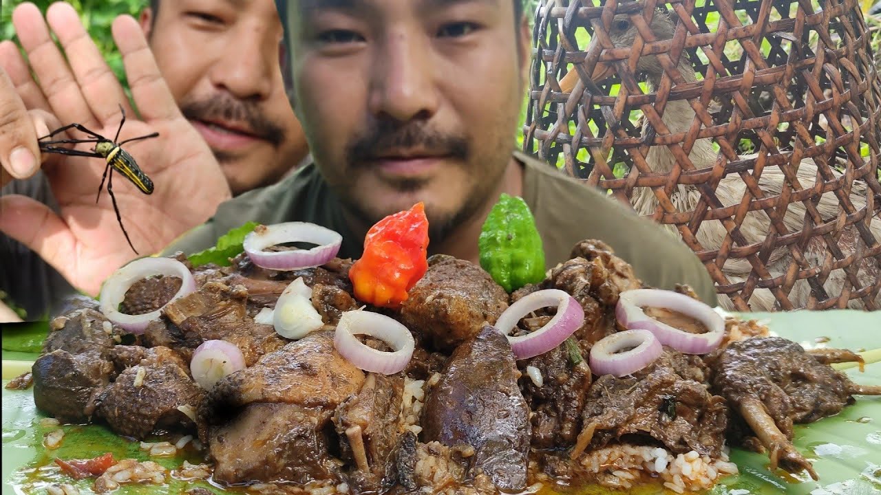 eating duck meat || duck meat recipe || jungle vlog.