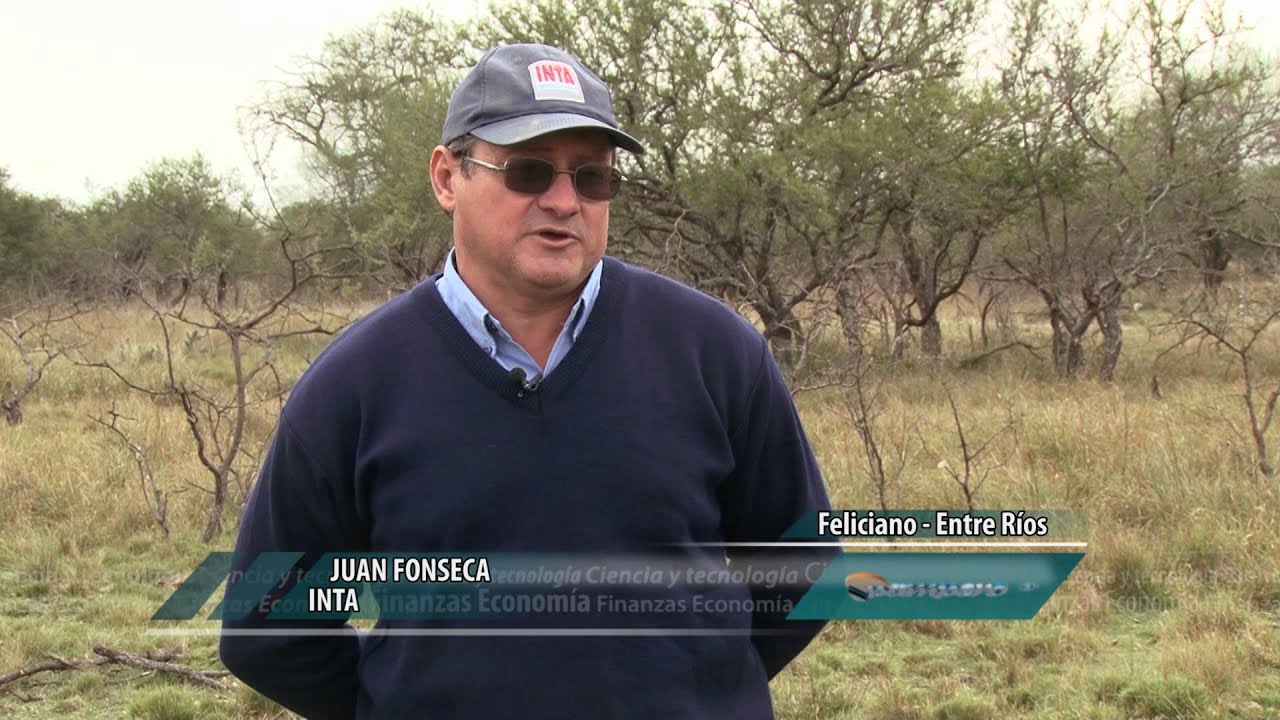 PASTOREO ROTATIVO EN MONTE NATIVO
