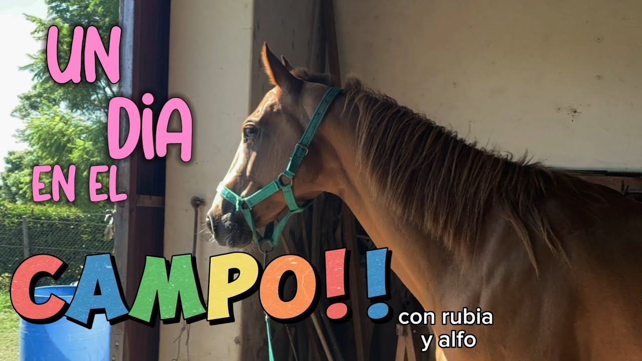 Un dia en el campo con Alfo y Rubia 🐴🌾❤️‍🔥 || ​⁠@alfoequestrian
