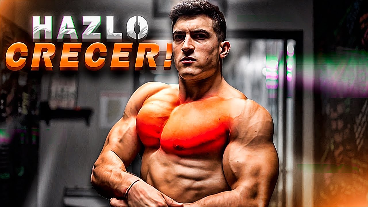 ¿CÓMO CONSEGUIR un PECHO GRANDE Y FUERTE? | TOP 4 EJERCICIOS