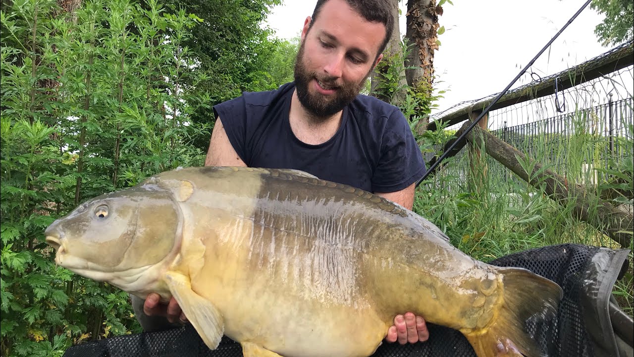 Carpfishing  lago Giarrette...parte 2