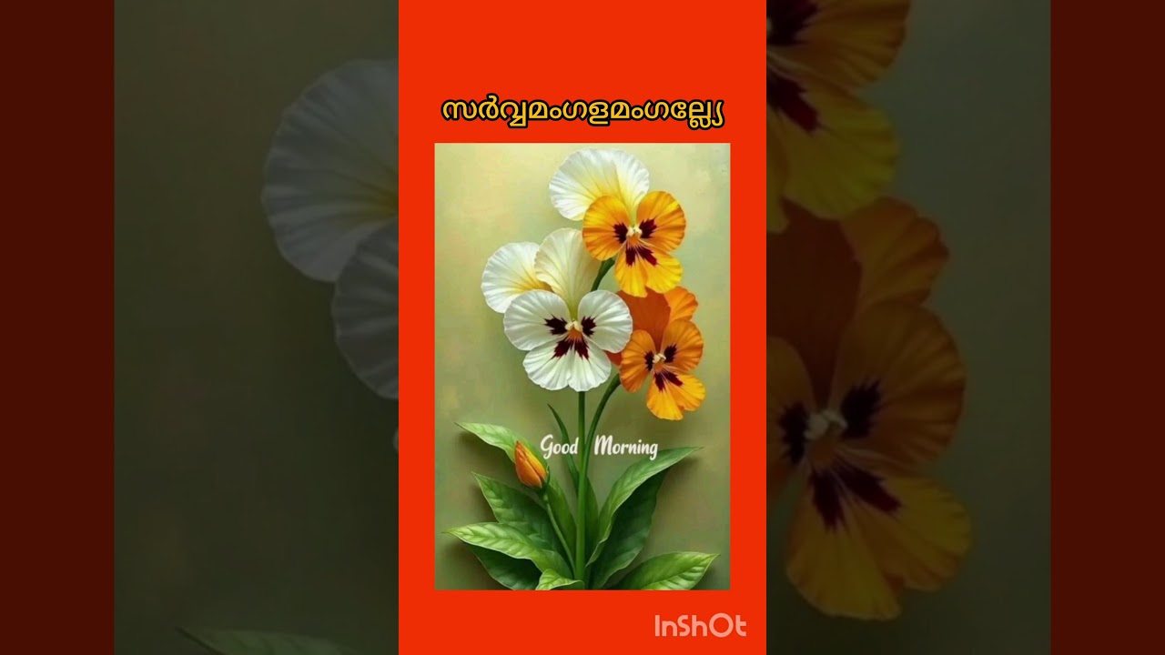 സർവ്വമംഗളമംഗല്ല്യേ 7-10-2025 #lakshmi34535 #shortsfeeds #devimandram