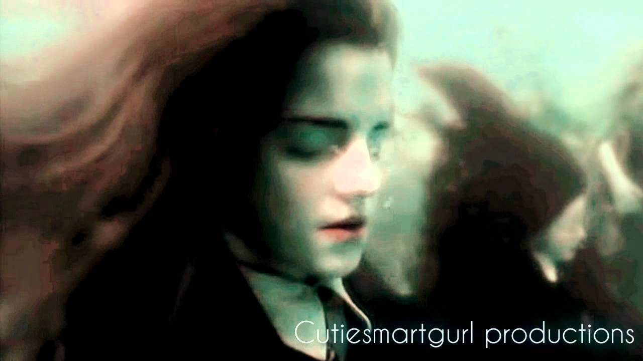 I'll Stand By You-Harry Hermione video