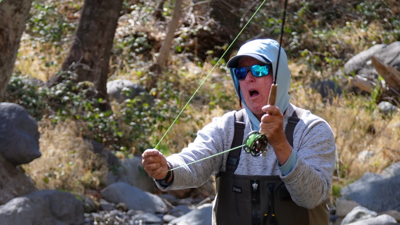 The 10 BEST Fish Caught in 2025 | Fly Fishing for Trout
