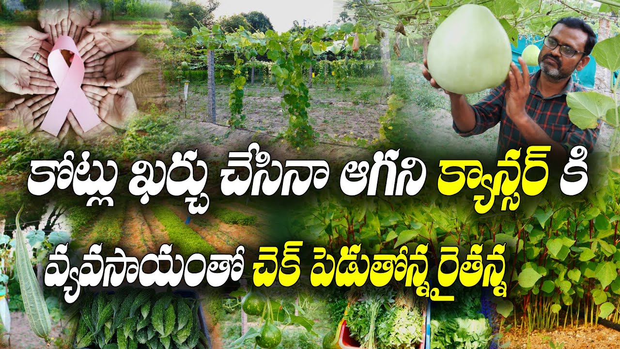 రైతే డాక్టర్ లా మారితే.. | Healthy Farming | K Vijay