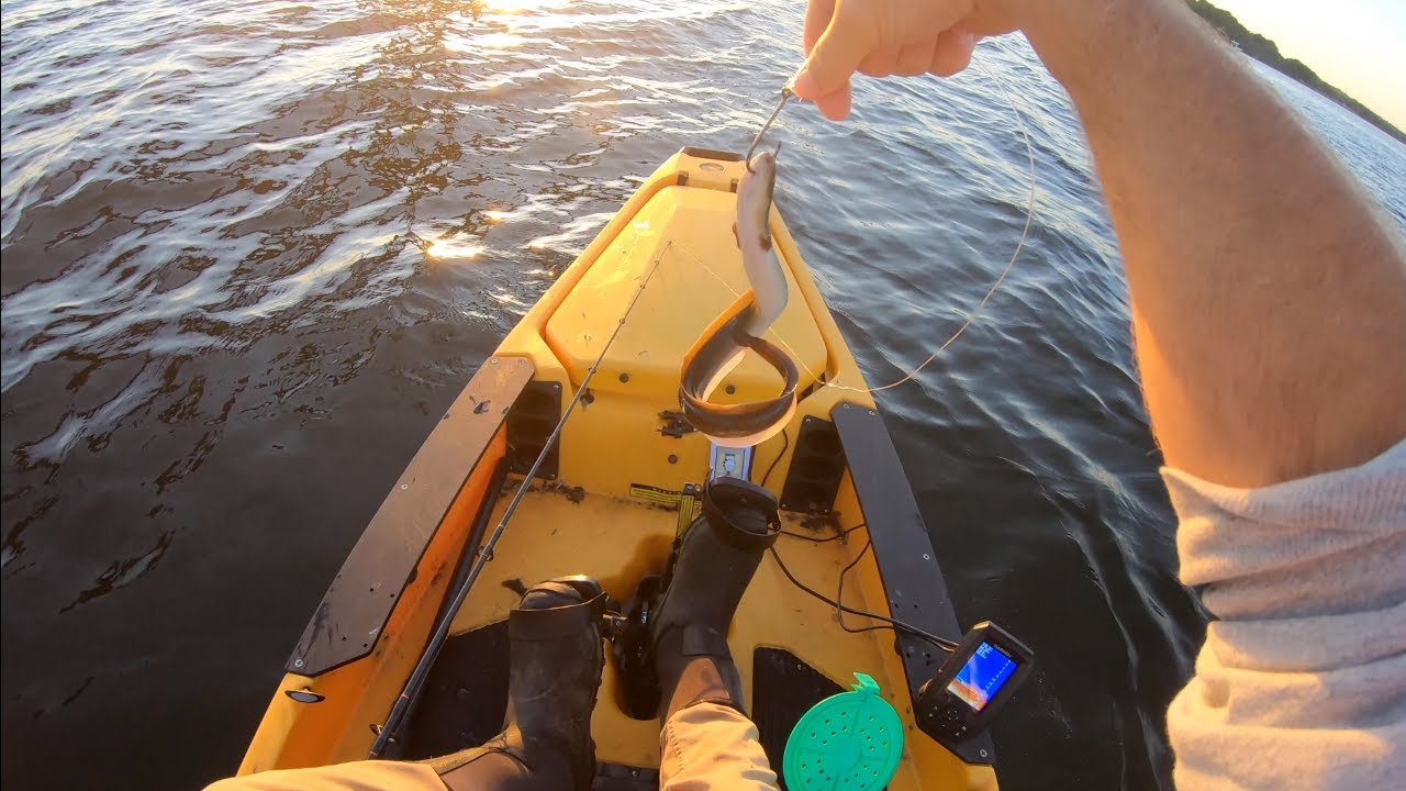 Trolling Live Eels At Night For Striped Bass! Kayak Fishing RI