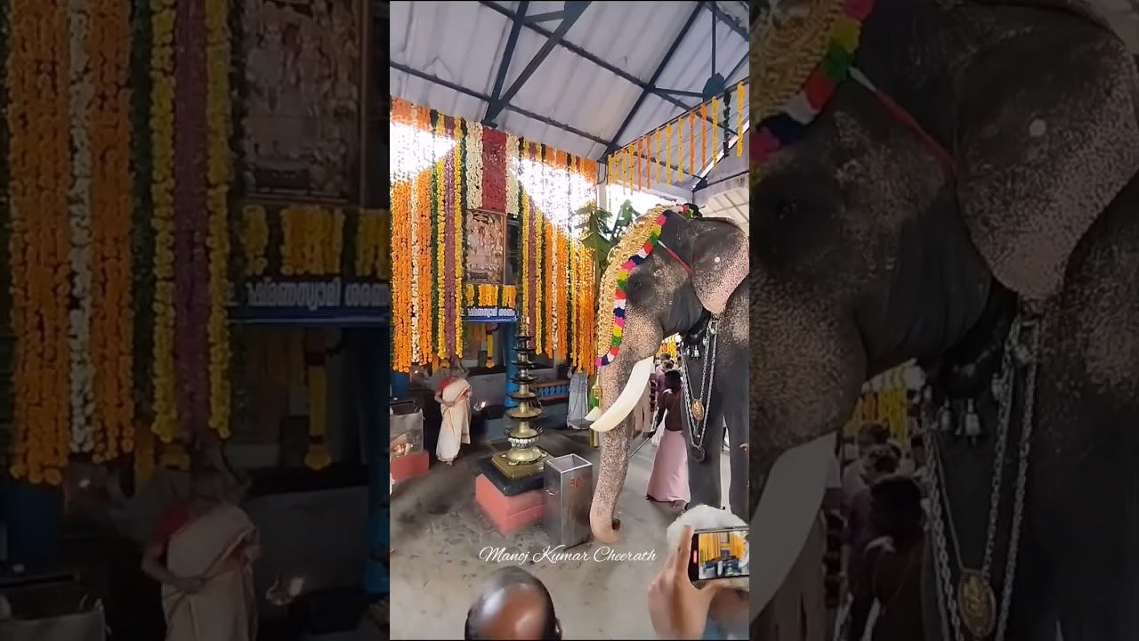 Thiruvilwamala Niramala Maholsavam Part1 #temple #festival #Kerala #thiruvilwamala