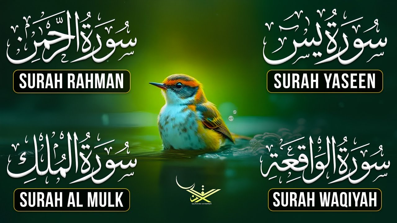 Surah Yaseen, Rahman, Waqiah &  Mulk | Ali Yahya | Spiritual Peace & Protection blessings & guidance