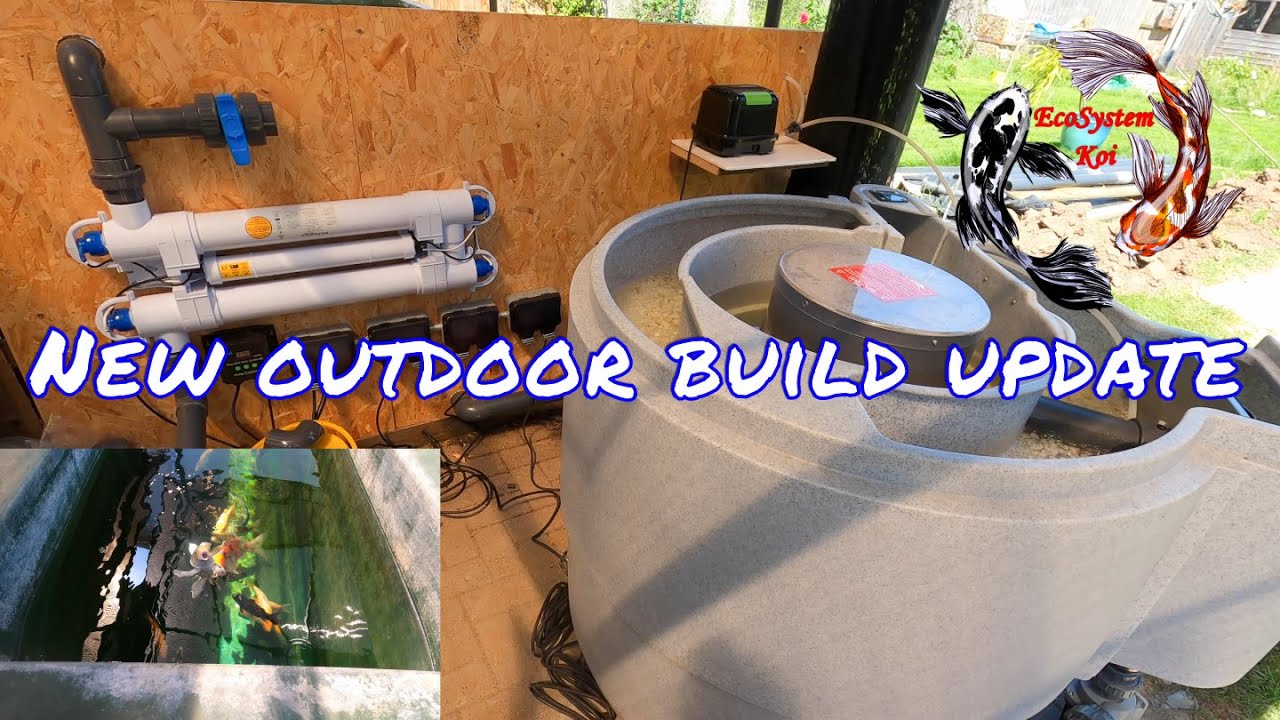 Outdoor Koi tanks build, Nexus 320 adding media, Double union valve adjustment, look at the Koi Fry.