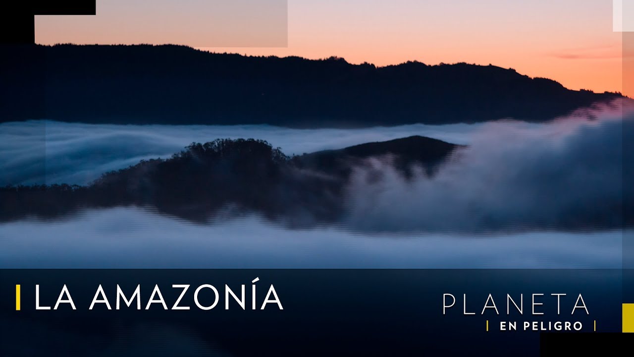 &iquest; Por qu&eacute; es importante la Amazon&iacute;a? | Planeta en Peligro Nat Geo