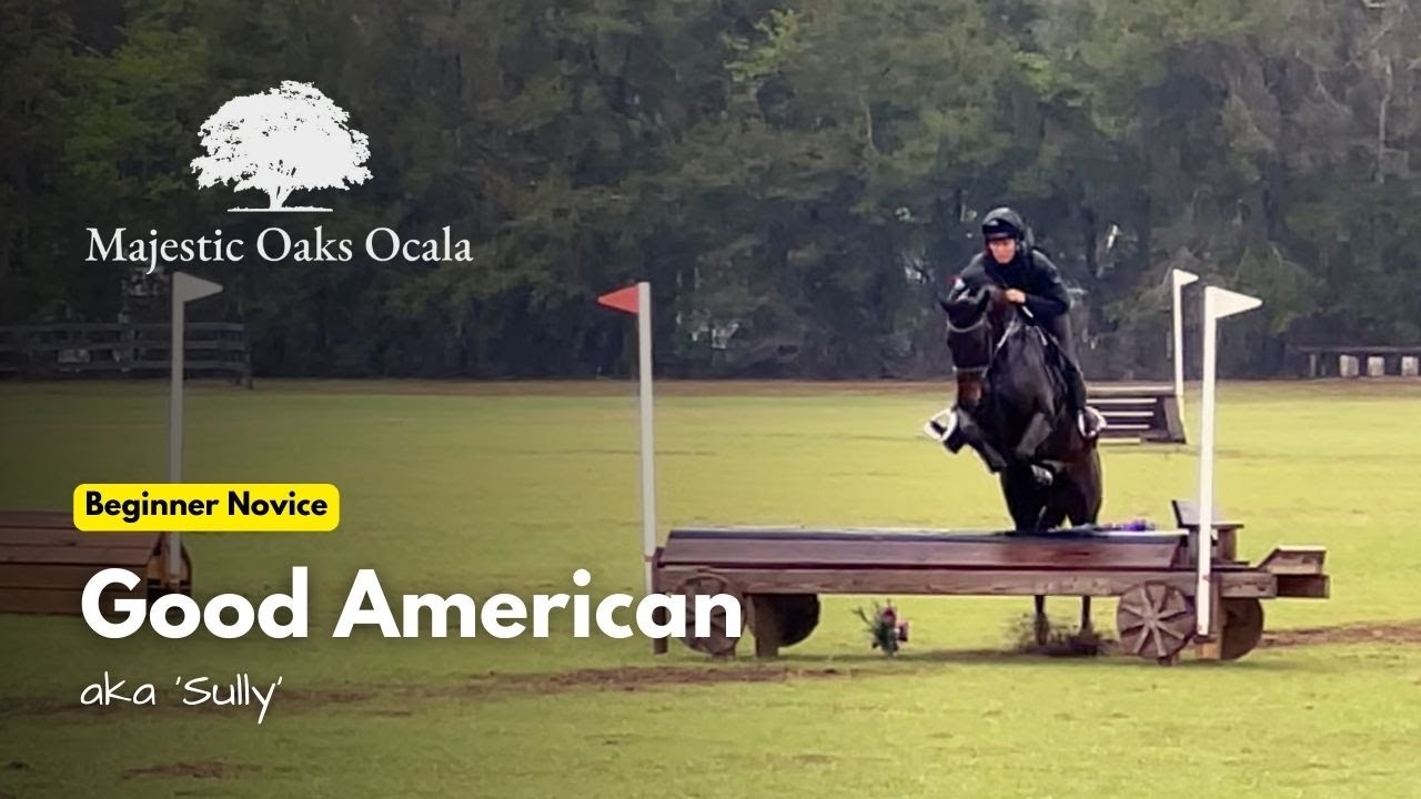 Good American (Beginner Novice | 2025 February Schooling Show at Majestic Oaks)